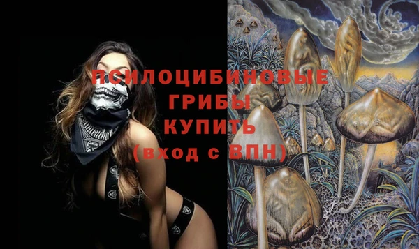 меф Дмитровск