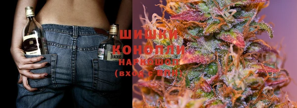 ПСИЛОЦИБИНОВЫЕ ГРИБЫ Дмитров